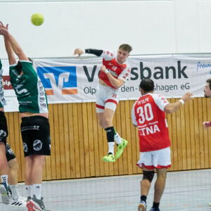 20221119 Handball 014.jpg