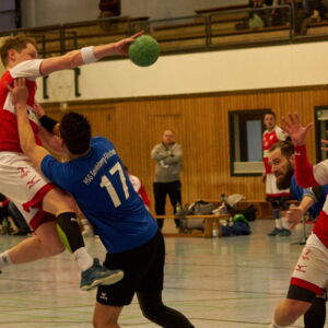 20220226 Handball 002.jpg