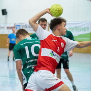 20221119 Handball 021.jpg