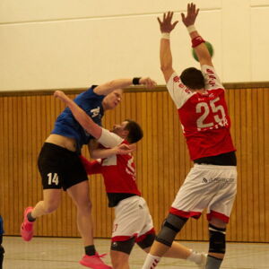 20220226 Handball 011.jpg