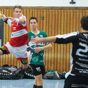 20221119 Handball 009.jpg